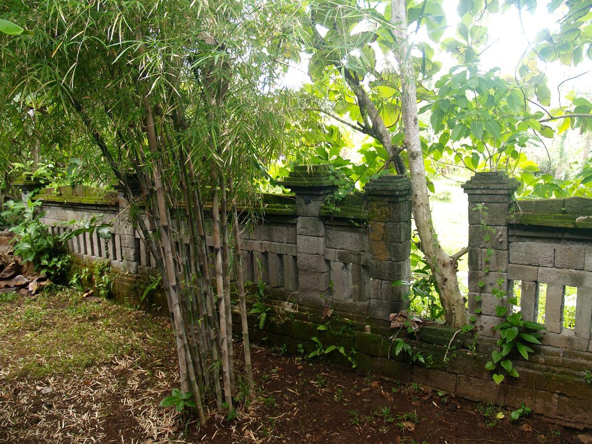 Bali Beach Eco Villas Pondok Matekap Selemadeg  Exteriör bild